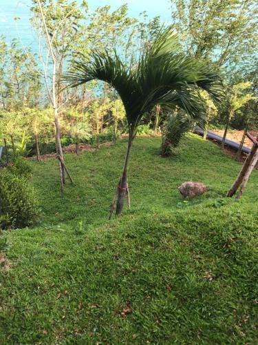 Fabuleuse Villa Aliz�s, Vue Mer Avec V�hicule 4x4