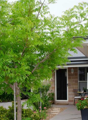 Apartamento Bartletts Corner A Private And Peaceful Studio