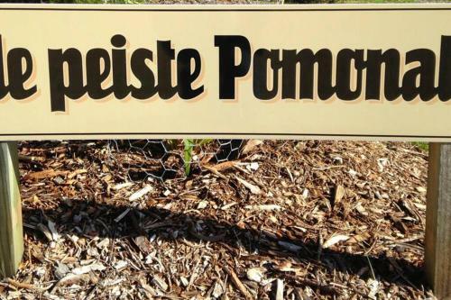 Pa's Place Pomonal Grampians