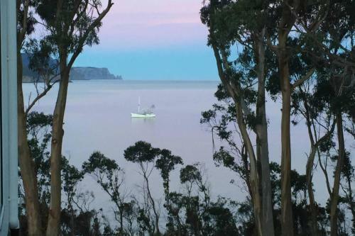 Villa The Cove... On The Rocks At Port Arthur