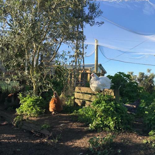 Apartamento Langleys Port Campbell