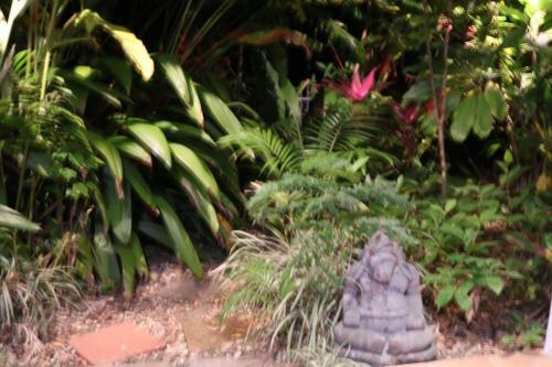 Villa Beauty Tiny Walk To Sea