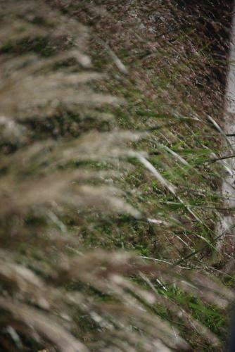 Het Oud Schoolmeesterhuis