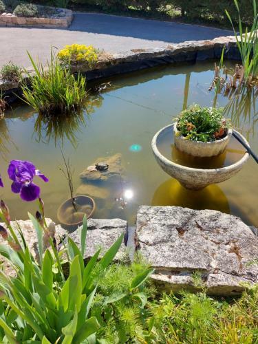Bed & Breakfast Le Moulin De L'etang