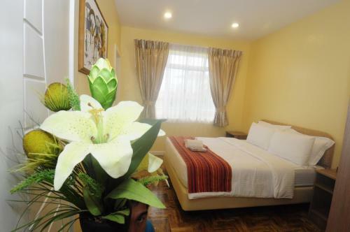 Awesome Hotel San Juan