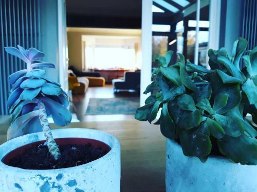 Villa Vakantiewoning Zussenzo