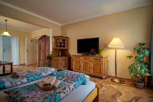 Hostal Penzion Na Hrad?anech