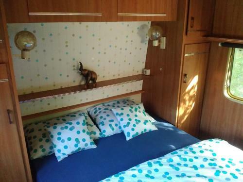 Sykovec Karavan S�korka