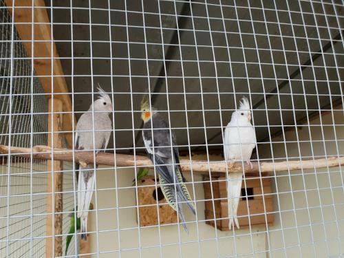 Agroturismo Farm Stay NH Stables