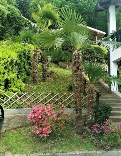 Apartamento Casa Le Palme -montagnola