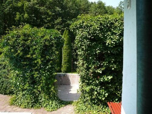 Lodge Chaloupka V Podyj� - Podmol�
