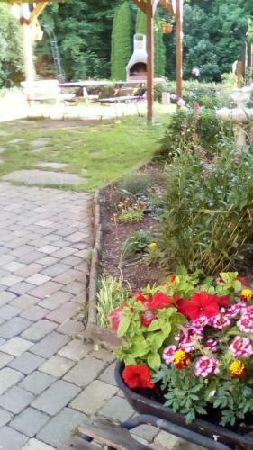 Lodge Chaloupka V Podyj� - Podmol�