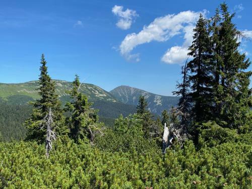 Apartm�n V Srdci Hor Cihl�?ka