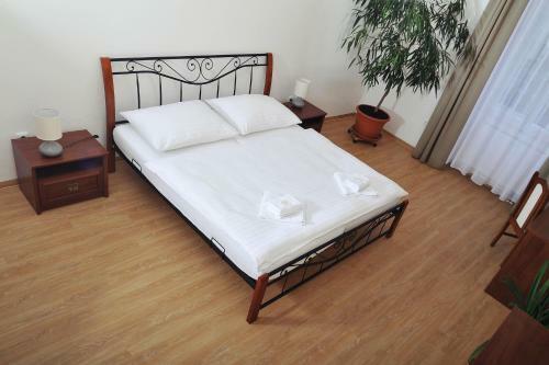 Hostal Penzion Kr�lovsk� L�zn?
