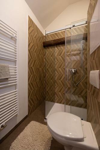 Apartsee Wellness Plze?