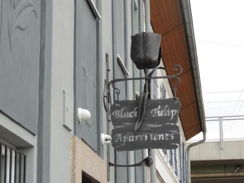 Apartm�ny ?ern� Tulip�n #5