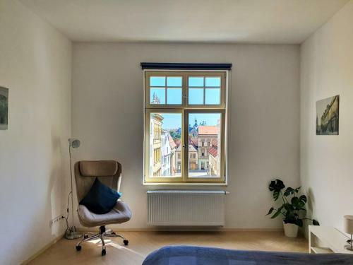 Spacious Luxury Apartment In The City Center