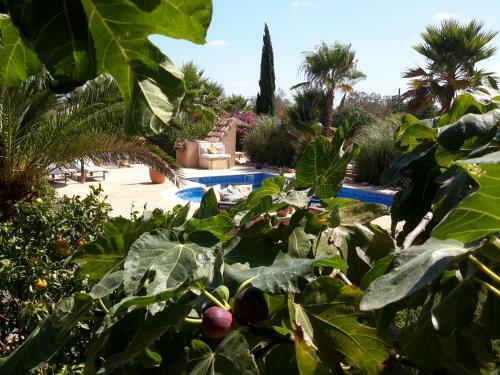 Finca Alqueria Fosca