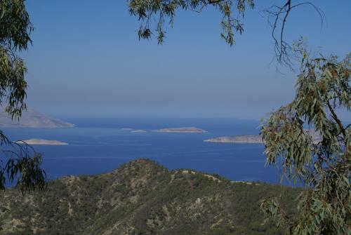 O Ioannis