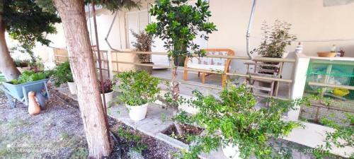 Apartamento Liland Bungalows