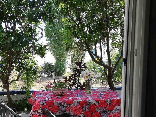 Koulas House Paros