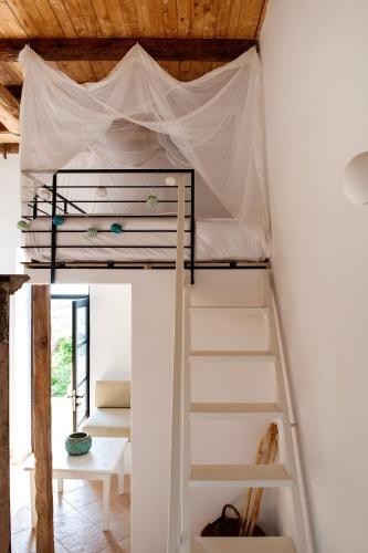 Villa Positivespace Olive Tree