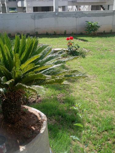 Apartamento Shinny Corner - Porto Rafti