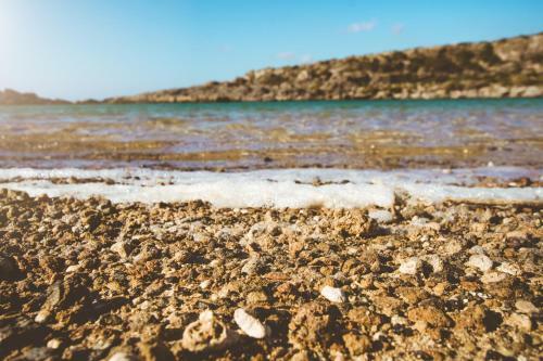 Traditional Apartments Elafos