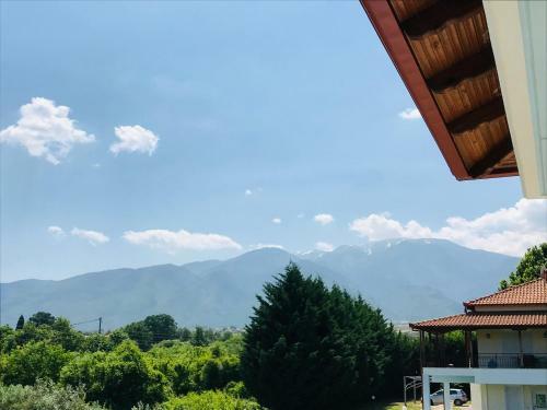 Dimeli