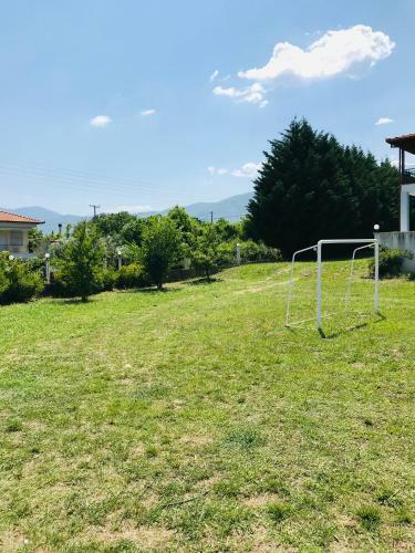 Dimeli