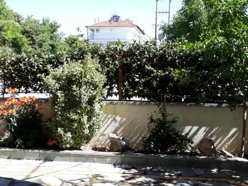 Apartamento Olympus Vacation Paradise