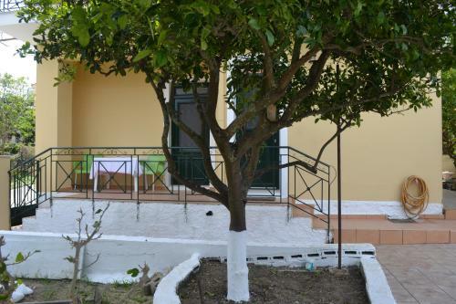 Apartamento Neighborhood Home