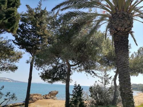 Alekos Beach Houses-romance