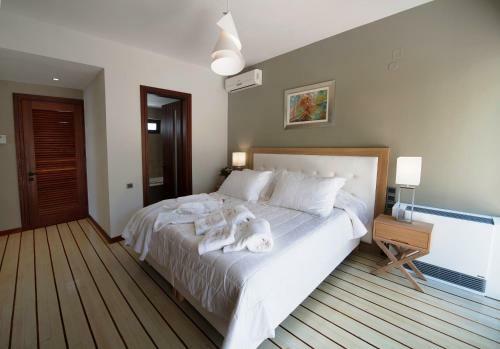 Apanemia Luxury Villa, Lefkada