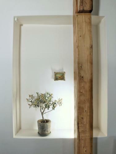 Apartamento Tramezzo Designer's House