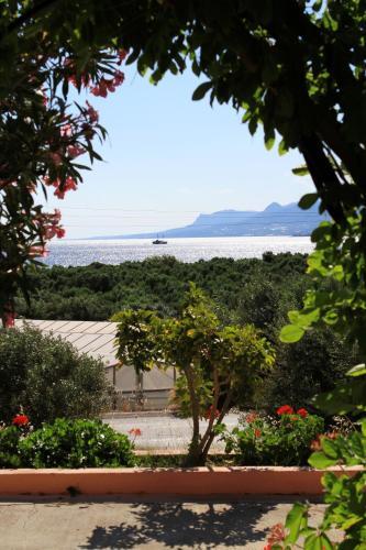 Apartamento Traditional Olive House