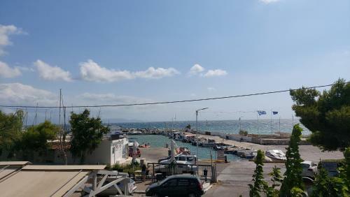 Apartamento Dolphin 2