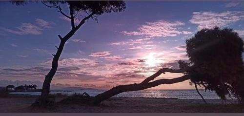 Villa Accessible Luxury