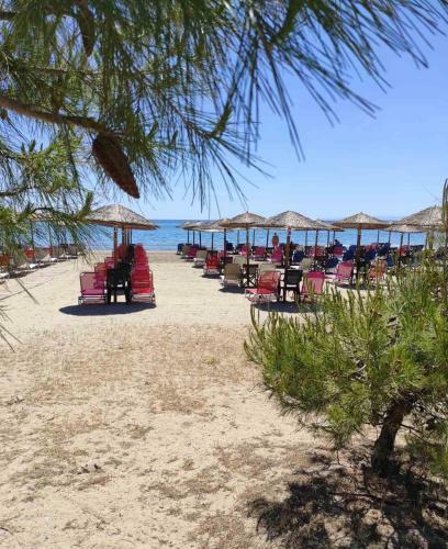 Hostal Sun Garden Apartments