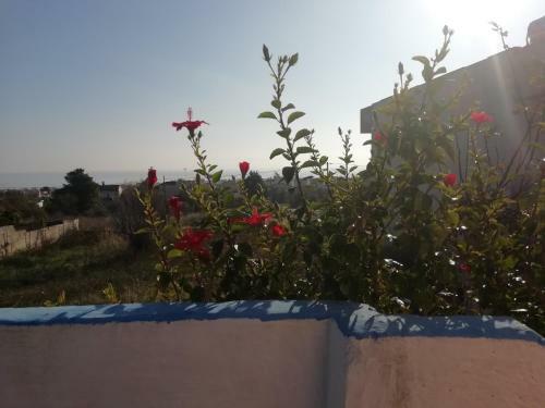 Apartamento Airport View House