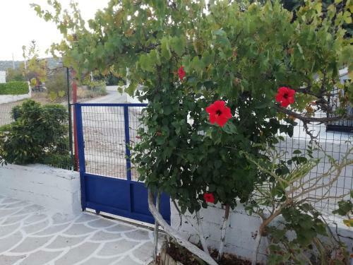Apartamento Airport View House