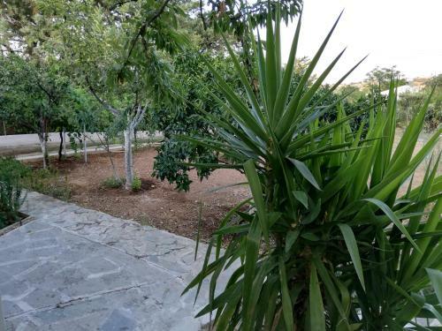 Apartamento Dreamhome -10min From Airport-