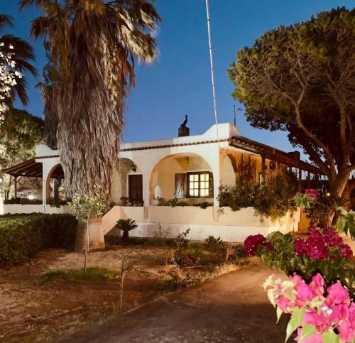 Vravrona Family House