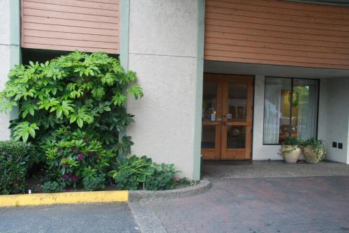 Hotel Baymont Inn And Suites Seattle/kirkland
