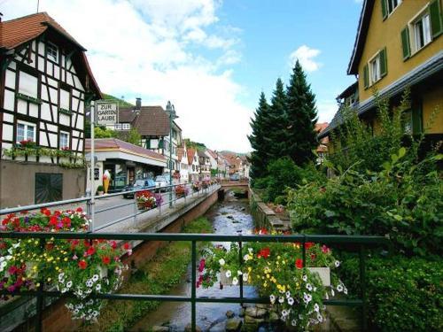 Hostal Gasthaus - Pension Hohberg