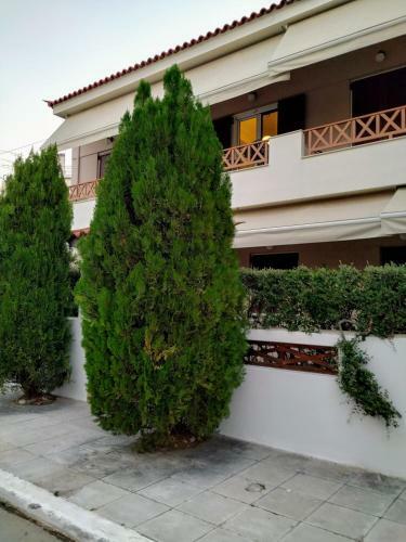 Apartamento N&?