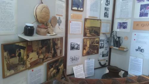 The Fountainhead Pelion