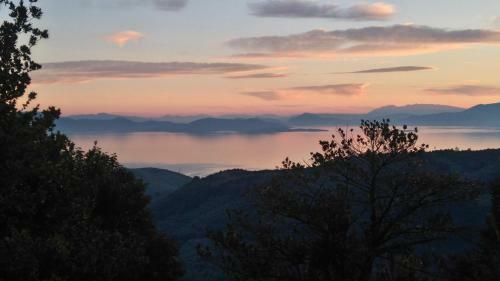 The Fountainhead Pelion