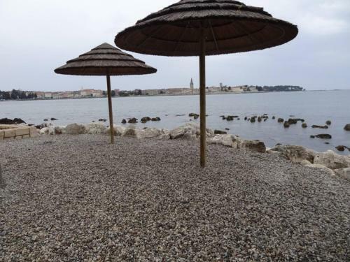 Hostal Residence Kuemmerle For Max 10 Persons
