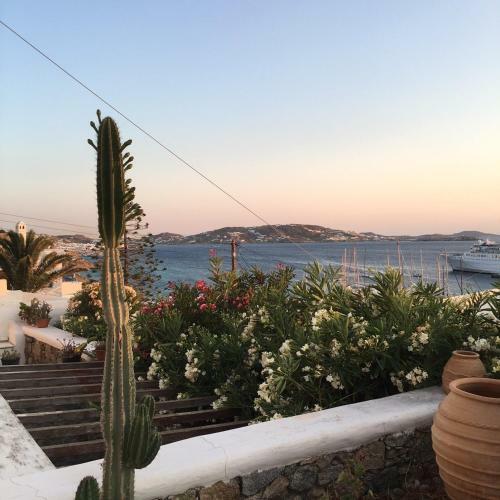 Paradise Sunset Mykonos